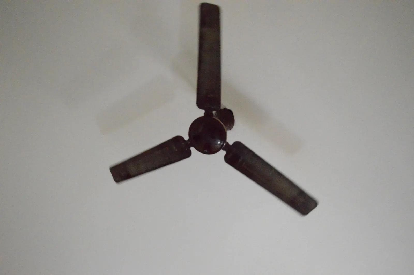 Three-blade ceiling fan against a white ceiling